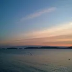 In Near